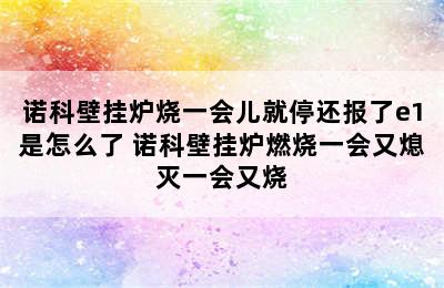 诺科壁挂炉烧一会儿就停还报了e1是怎么了 诺科壁挂炉燃烧一会又熄灭一会又烧